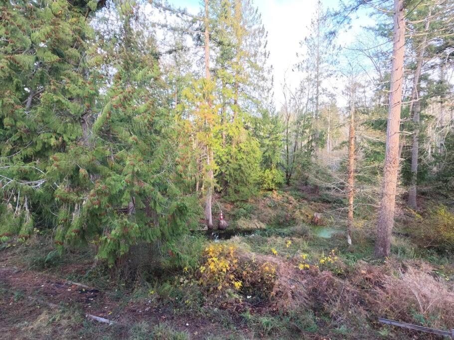 Countryroad Cozy 2Bedrooms Suite2 Nanaimo Esterno foto